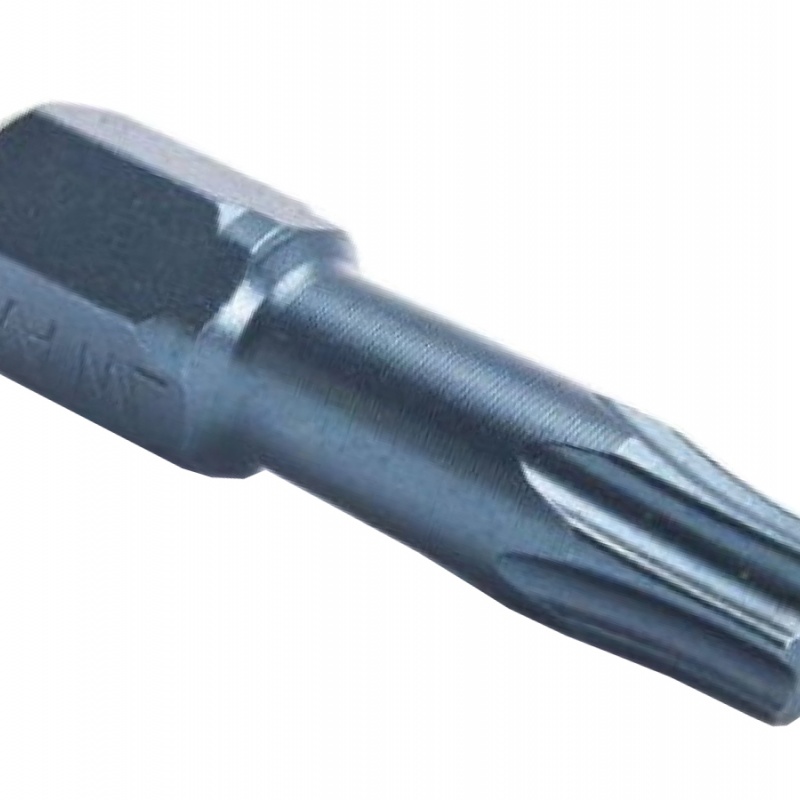 Rawlplug Bit TORX30 25 mm TORX30 x 25 mm, cena za ks